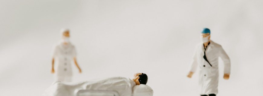 annie-spratt-HaCqGNFgiGE-unsplash (1)